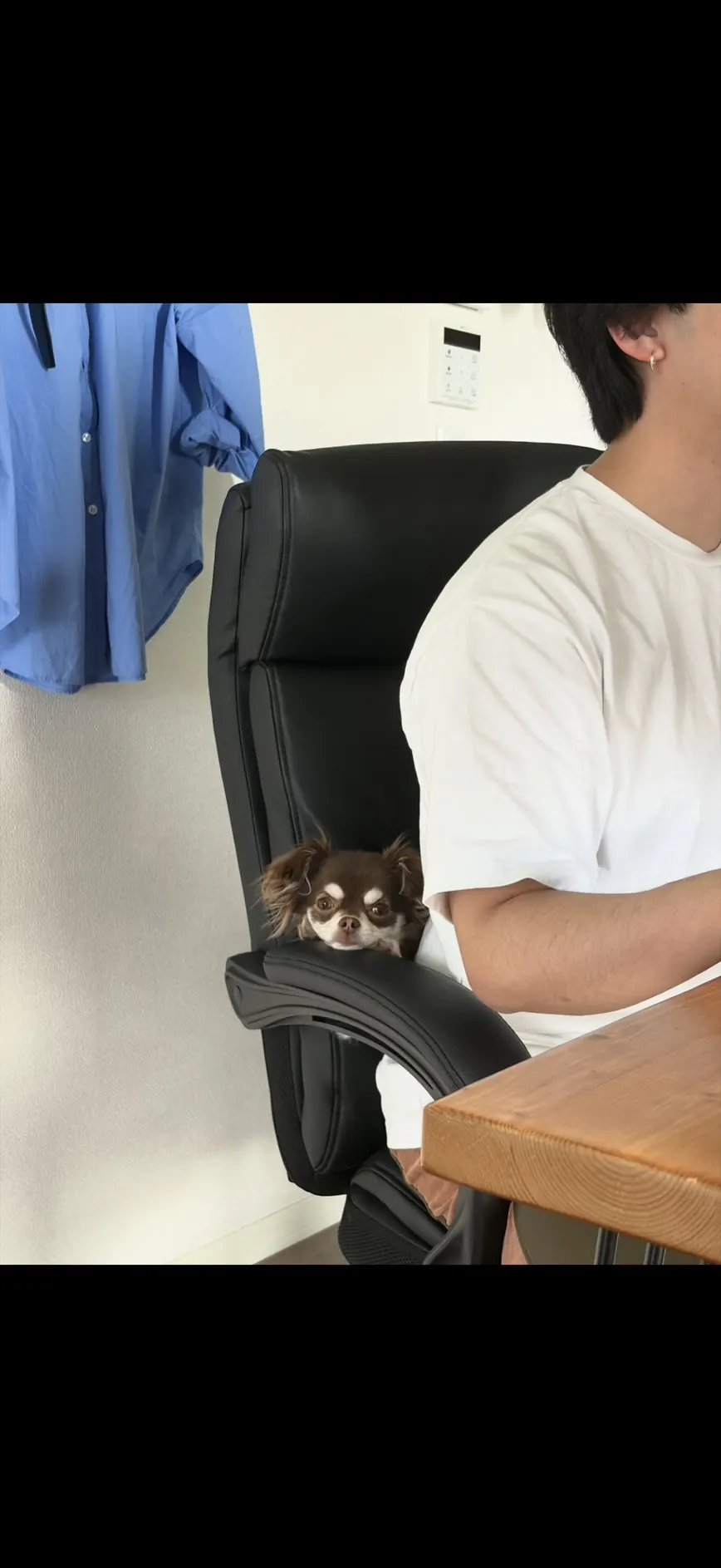 エンジニアの伊藤と愛犬のチワワ